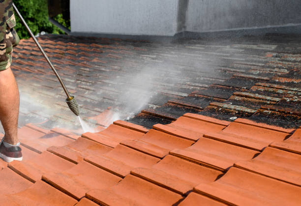 Best Garage Pressure Washing  in Diboll, TX