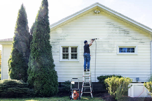 Best Roof Power Washing Services  in Diboll, TX